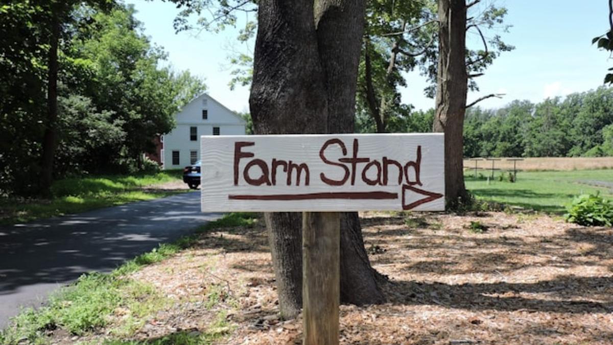 project-farm-stand