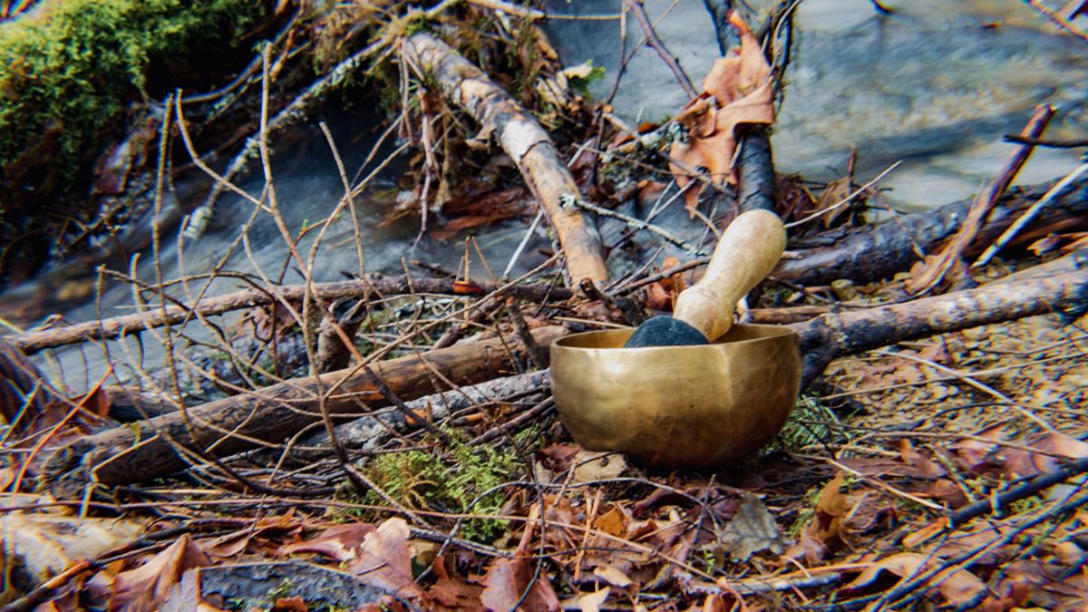 project-return-to-water